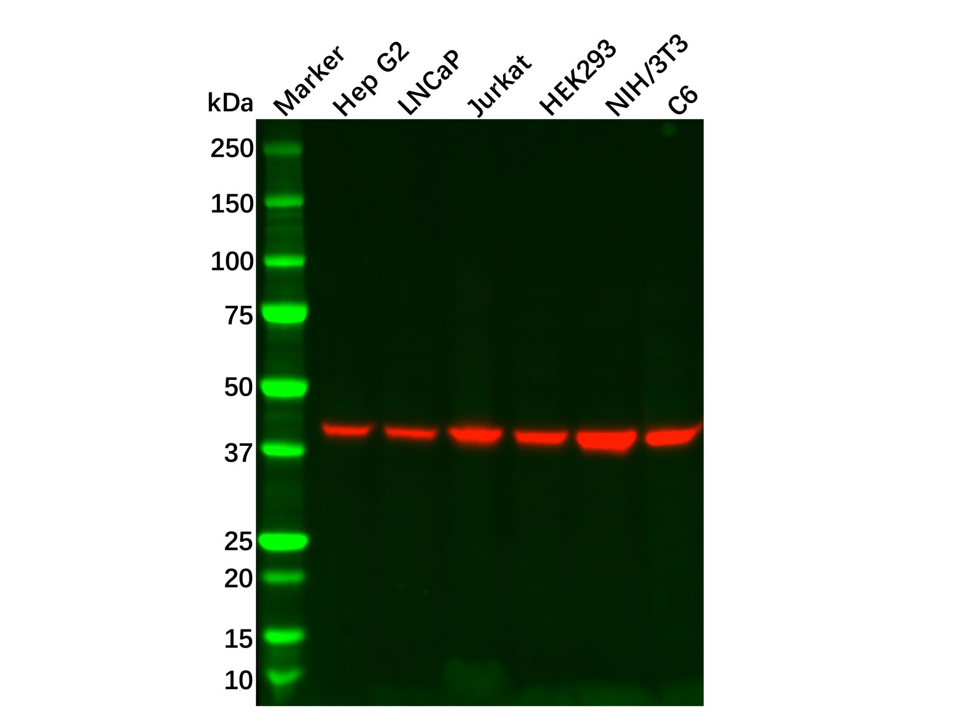 产品细节图片1