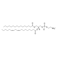 1-Palmitoyl-2-linoleoyl PE,26662-95-3,≥98%,阿拉丁