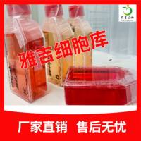 人胶质母细胞瘤细胞CCLF_NEURO_0048_T细胞