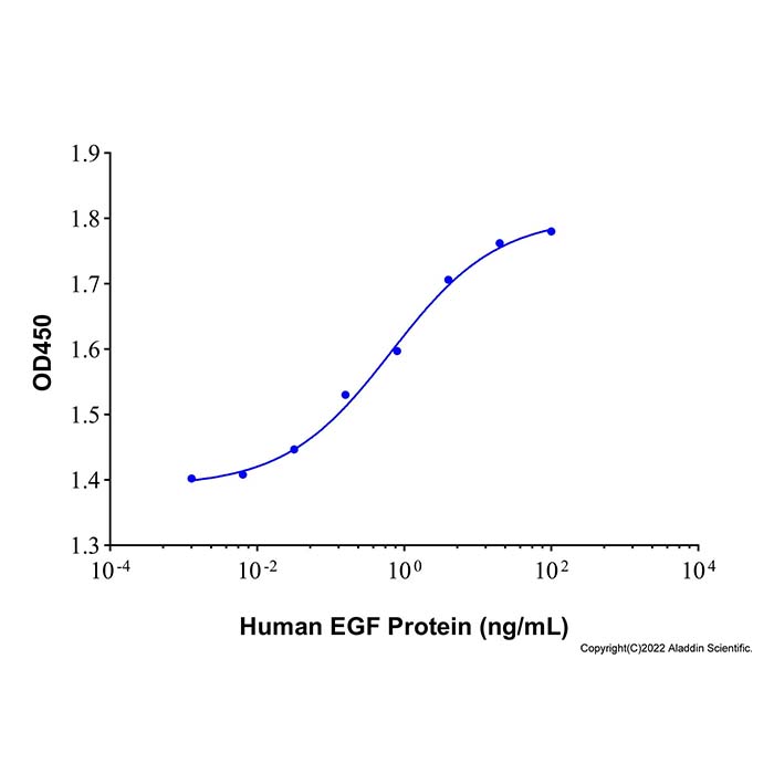 Recombinant Human EGF Protein，无动物源,无载体,生物活性,ActiBioPure™,高性能,≥95%(SDS-PAGE),expressed in E. coli; 见COA，阿拉丁产品图