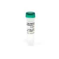 M-Dilution Buffer（M-稀释缓冲液）