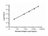 Recombinant Troponin I/TNNI3 Antibody,ExactAb™, Validated, Carrier Free, Azide Free, Recombinant, 4.40mg/mL,阿拉丁