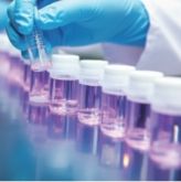IVD 底物、 糖苷及其它化合物类