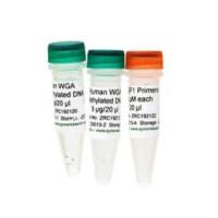 Human Methylated & Non-Methylated (WGA) DNA Set（人源甲基化与非甲基化WGA DNA标准品套装）