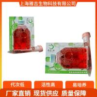 荧光素酶标记的小鼠骨髓瘤细胞SP2/0-LUC