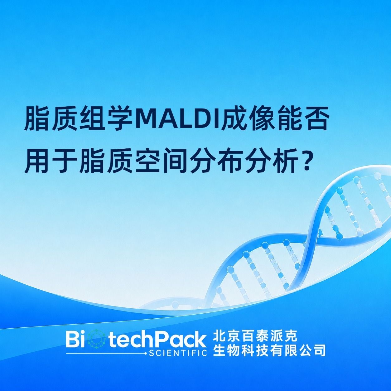脂质组学MALDI成像能否用于脂质空间分布分析?