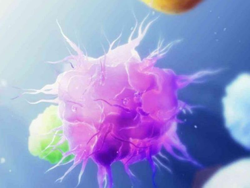 CD3 分选是什么？分必得 CD3 分选原理、应用