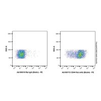 CD44 Rat mAb (Biotin),ExactAb™, 已验证, 0.5 mg/mL,阿拉丁