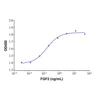 Recombinant Human FGF basic/FGF2/bFGF Protein，62031-54-3，无动物源,无载体,生物活性,ActiBioPure™,高性能,≥95%(SDS-PAGE)，阿拉丁