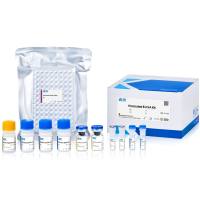 Mouse GM-CSF Precoated ELISA Kit