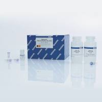 Qiagen(凯杰)12143 质粒中提试剂盒