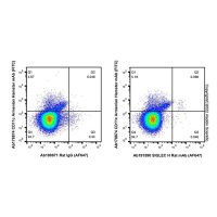 SIGLEC H Rat mAb (AF647)，ExactAb™, 已验证, 0.5 mg/mL，阿拉丁
