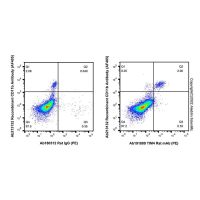 TIM4 Rat mAb (PE),ExactAb™, 已验证, 0.5 mg/mL,阿拉丁