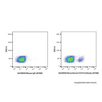 Recombinant CD19 Antibody (AF488) ，重组,ExactAb™,已验证,5 μL/test，阿拉丁