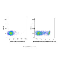 Recombinant CD8 Antibody (PE-Cy7),ExactAb™,已验证,重组,5 μL/test,阿拉丁