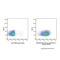 Recombinant Ly-6A/E(Sca-1) Antibody (AF555)，重组,ExactAb™,已验证,0.5 mg/mL，阿拉丁