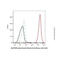 alpha-Smooth Muscle Actin Mouse mAb (Cy5)，ExactAb™, 已验证, 0.5 mg/mL，阿拉丁