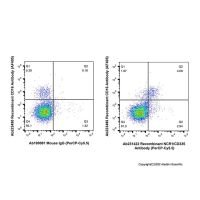 Recombinant NCR1/CD335 Antibody (PerCP-Cy5.5)，重组,ExactAb™,已验证,5 μL/test，阿拉丁