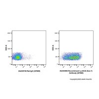 Recombinant Ly-6A/E(Sca-1) Antibody (AF660) ，重组,ExactAb™,已验证,0.5 mg/mL，阿拉丁