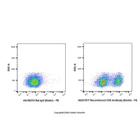 Recombinant CD5 Antibody (Biotin),重组,ExactAb™,已验证,0.5 mg/mL,阿拉丁