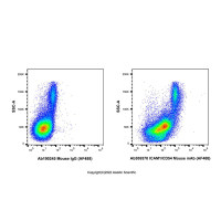 ICAM1/CD54 Mouse mAb (AF488),ExactAb™, 已验证, 5 μL/test,阿拉丁
