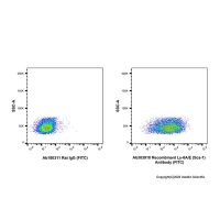 Recombinant Ly-6A/E(Sca-1) Antibody (FITC)，重组,ExactAb™,已验证,0.5 mg/mL，阿拉丁