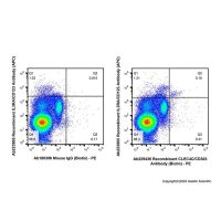Recombinant CLEC4C/CD303 Antibody (Biotin)，重组, ExactAb™, 已验证, 0.5 mg/mL，阿拉丁