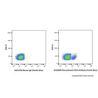 Recombinant CD19 Antibody (Pacific Blue),重组,ExactAb™,已验证,5 μL/test,阿拉丁