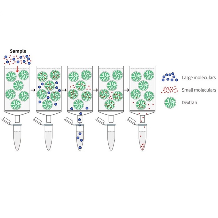 G25 Spin 脱盐柱 ,BioReagent, 即用型,阿拉丁
