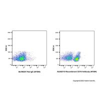 Recombinant CD19 Antibody (AF594),重组, ExactAb™, 已验证, 0.5 mg/mL,阿拉丁