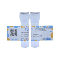 Wnt10b Antibody，ExactAb™, Validated, Carrier Free, Azide Free, 0.5 mg/mL，阿拉丁