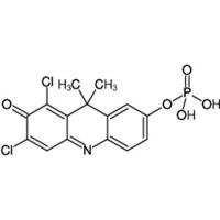 DDAO Phosphate,500883-59-0,≥95%,阿拉丁