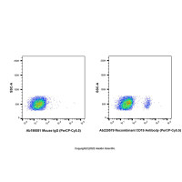 Recombinant CD19 Antibody (PerCP-Cy5.5) ，重组,ExactAb™,已验证,1 μL/test，阿拉丁