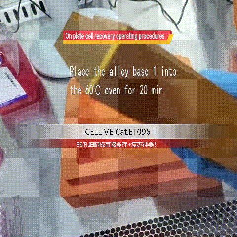 260813CELLIVE (2).gif