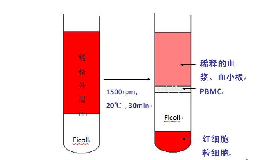 产品细节图片3