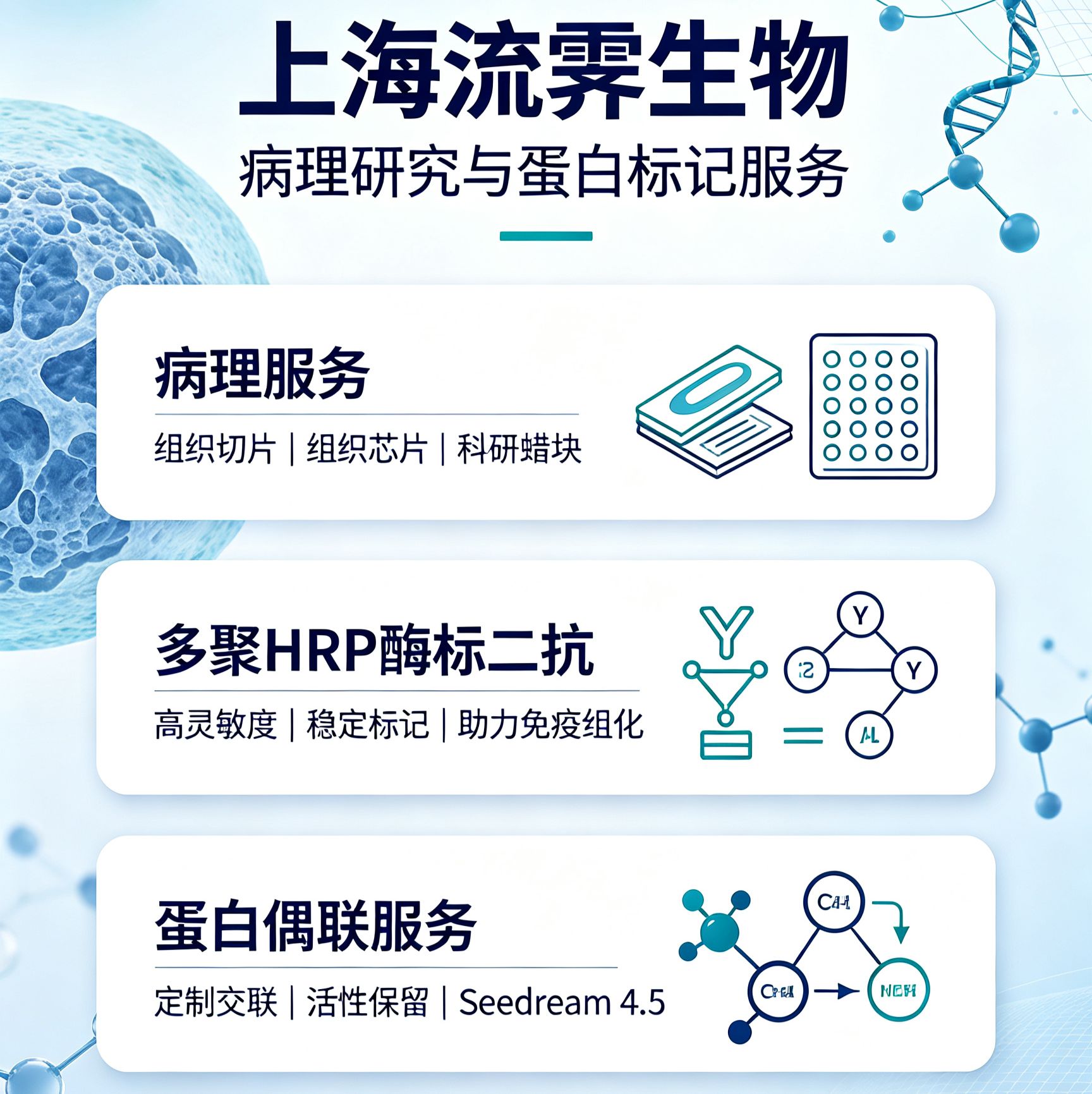 病理切片服务