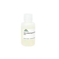 Quick-cfRNA Digestion Buffer(Quick-cfRNA 消化缓冲液)