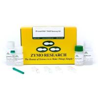 ZR small-RNA PAGE Recovery Kit(ZR 小RNA PAGE回收试剂盒)
