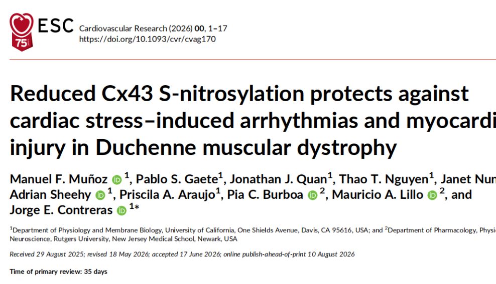 《Cardiovascular Research》： Cx43半通道“开关”被发现——为DMD心肌病治疗提供新思路