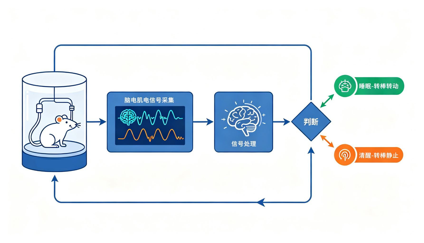 精准识别睡眠状态，闭环反馈式干预——玉研反馈式睡眠剥夺仪重新定义动物睡眠造模标准