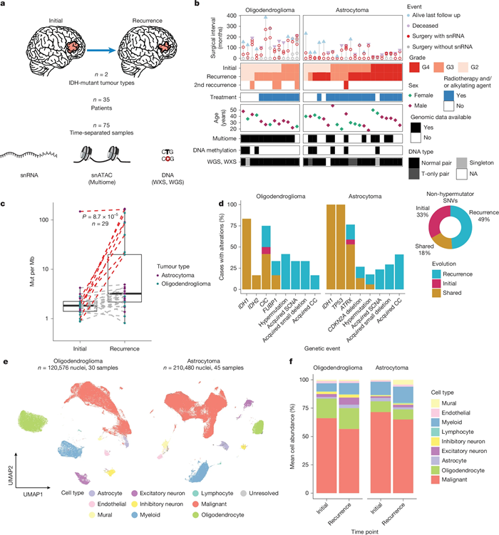 BMG LABTECH多功能酶标仪文献分享,美国荷兰学者发表在Nature “Acquired genetic and cell-state changes in IDH-mutant glioma progression”报告