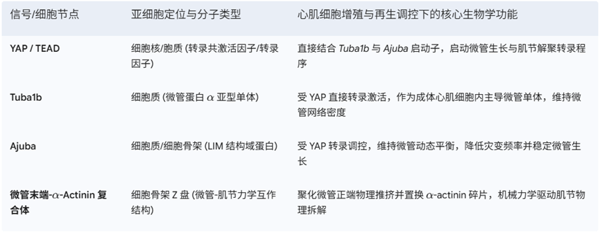 技术资料图片6