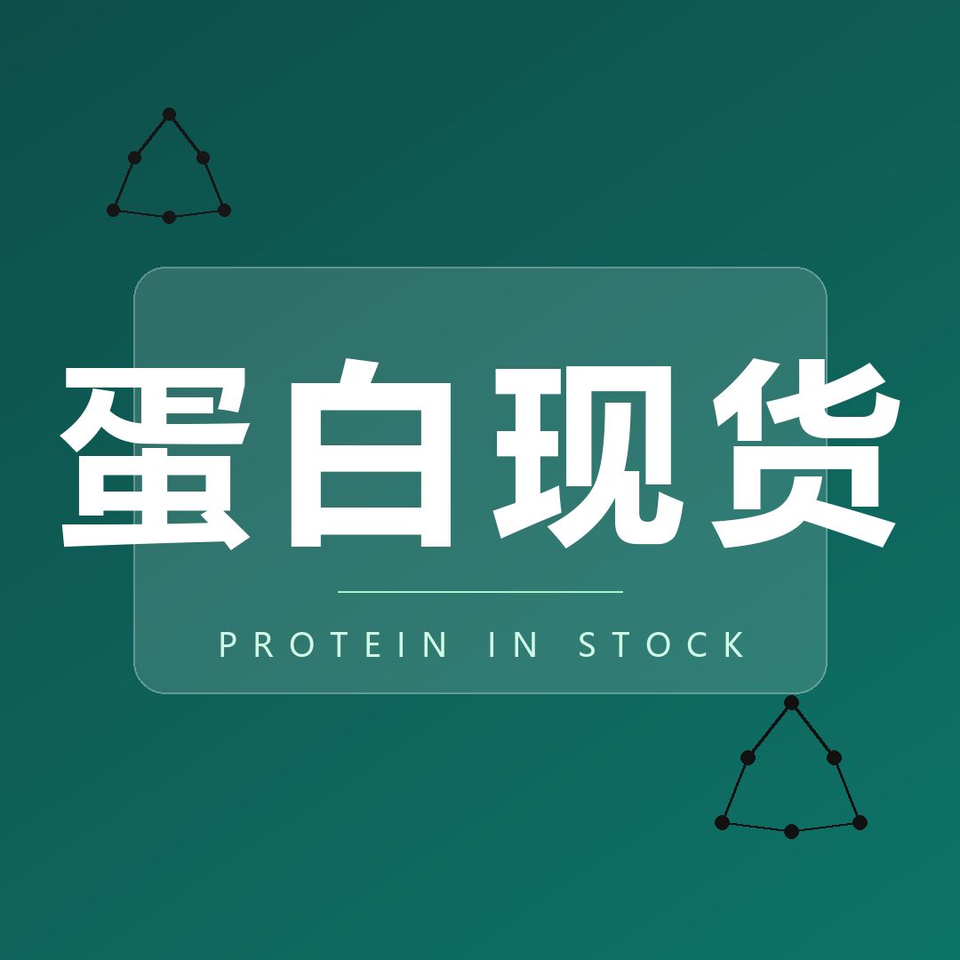Invitrogen / Gibco蛋白代理