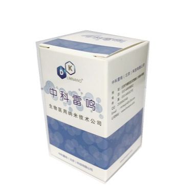 BCA蛋白定量试剂盒