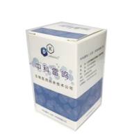 BCA蛋白定量试剂盒