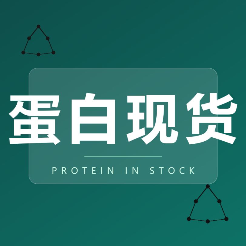BPS Bioscience蛋白代理