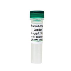 ZR small-RNA Ladder（ZR 小RNA 分子量标准品）产品图