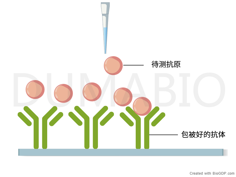 产品细节图片2