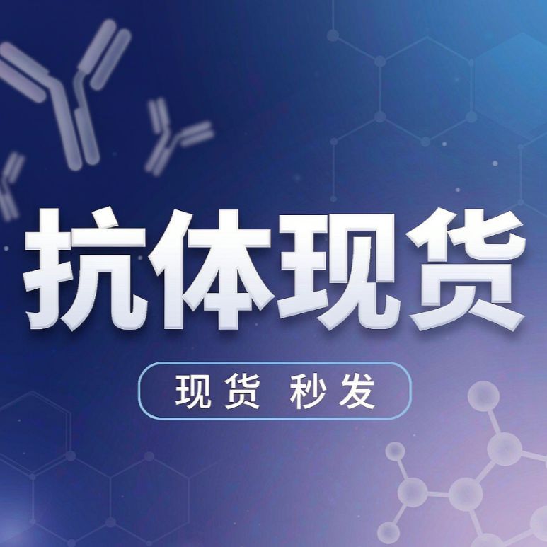 达科为 (Dakewe)抗体现货