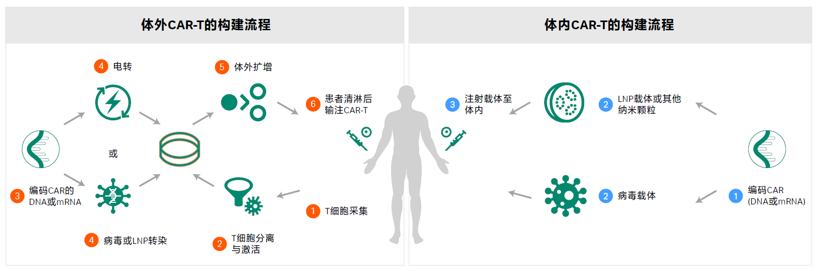 慢病毒产能新突破！5E8TU/mL超高滴度，翌圣UltraLV转染试剂赋能体内CAR-T产业化